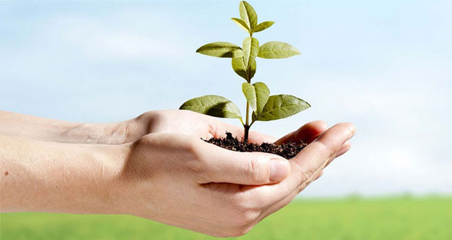 bao-ve-moi-truong-song bảo vệ môi trường sống