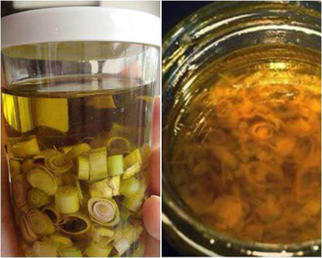 dầu oliu chăm sóc tóc