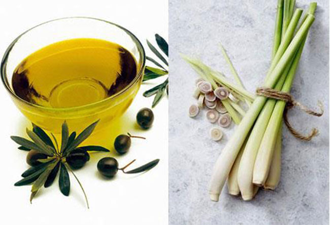 Ủ tóc bằng dầu oliu và sả