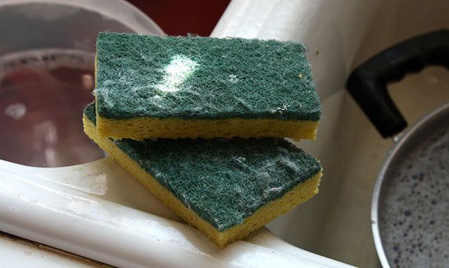 mieng-rua-bat mieng-rua-bat