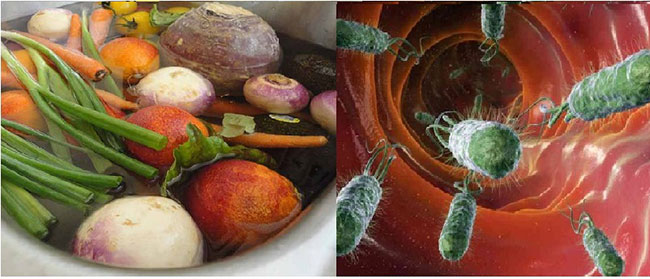 thực phẩm có nguy cơ nhiễm vi khuẩn