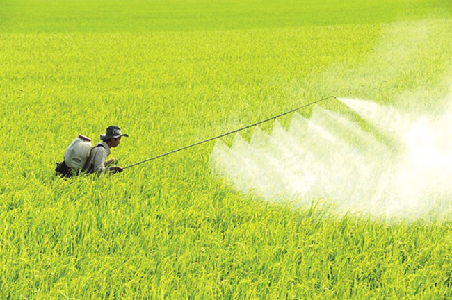 su-dung-chat-hoa-hoc-nhieu