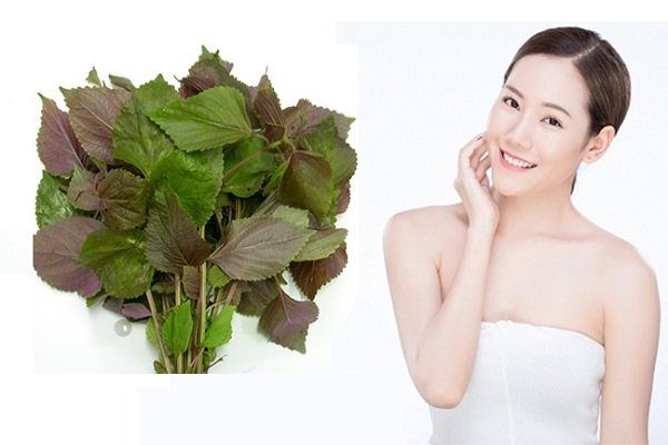 tam-trang-bang-la-tia-to-6 Tắm trắng bằng lá tía tô có bắt nắng không?