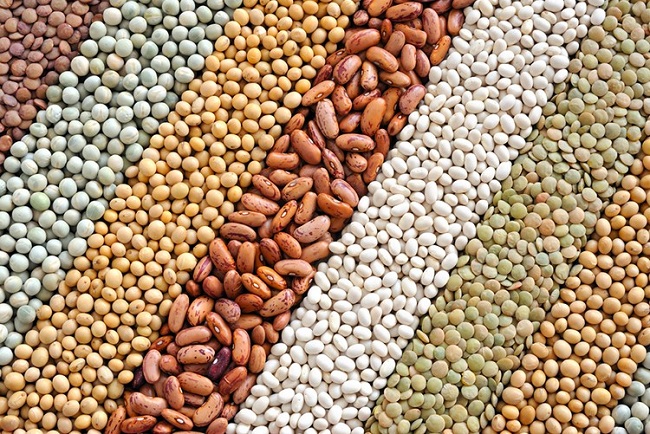 Tiến sĩ nổi tiếng người Mỹ tiết lộ 6 loại thực phẩm phòng chống ung thư có nhiều ở Việt Nam