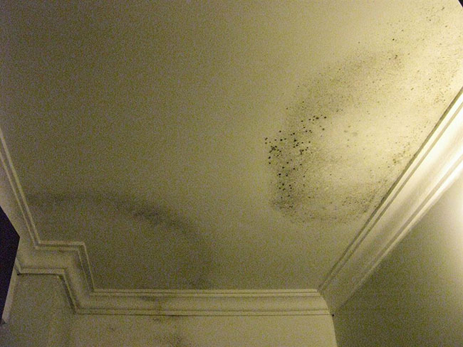 tuong-nha-moc tuong-nha-moc