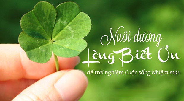 1664609895_thuc-hanh-long-biet-on thuc-hanh-long-biet-on