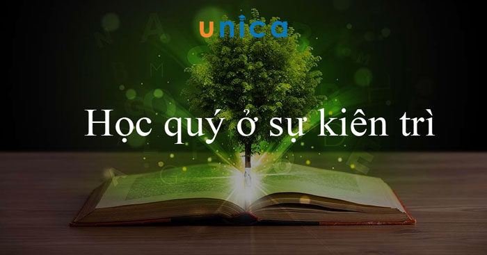 1677732141_bieu-hien-cua-kien-tri bieu-hien-cua-kien-tri