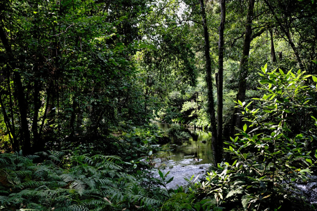 Photo 1630879327623 baaabb4ee34b