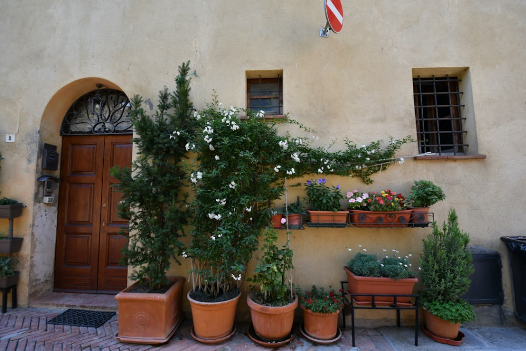 Photo 1636114049413 b25931f0331e