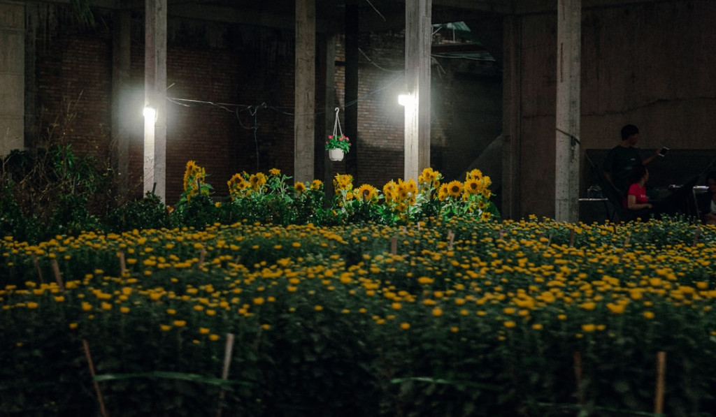 Photo 1673355818213 b8a14a80fd69