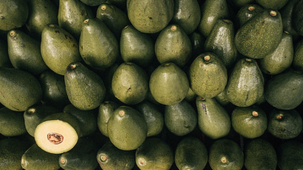 Photo 1709601295527 495a00720190