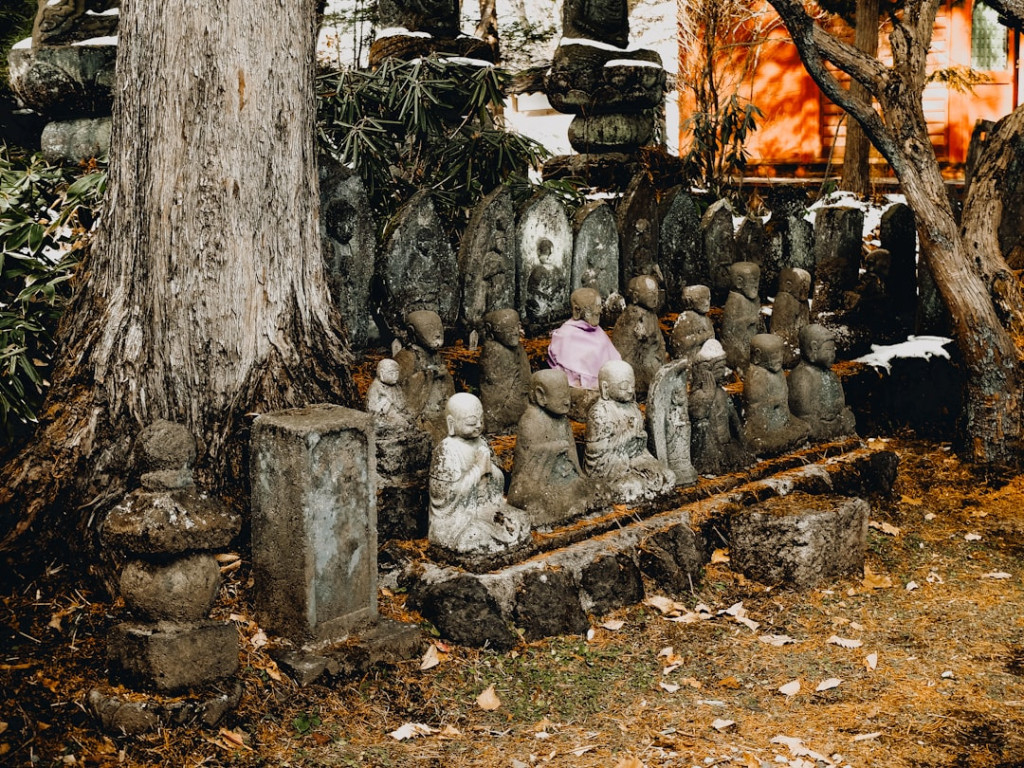 Photo 1734577376292 60c1d943dbd9