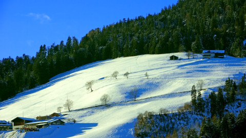 Photo 1749455016276 b74468940741