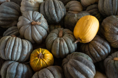 thực phẩm đa dạng giàu vitamin