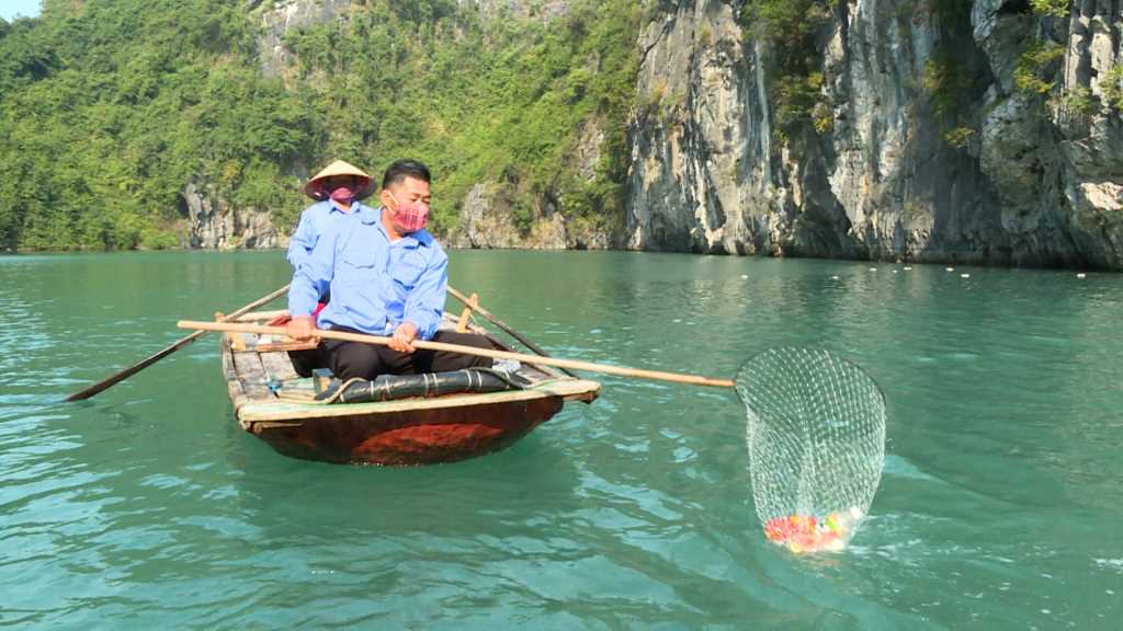 Bảo vệ môi trường Hạ Long