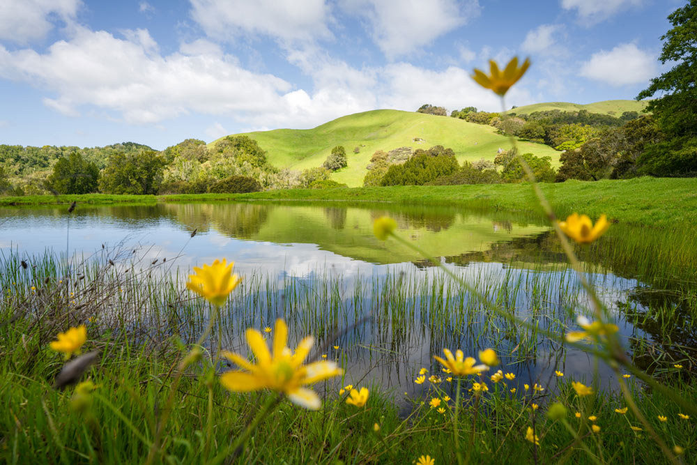 cảnh quan nông trại xanh cảnh quan nông trại xanh