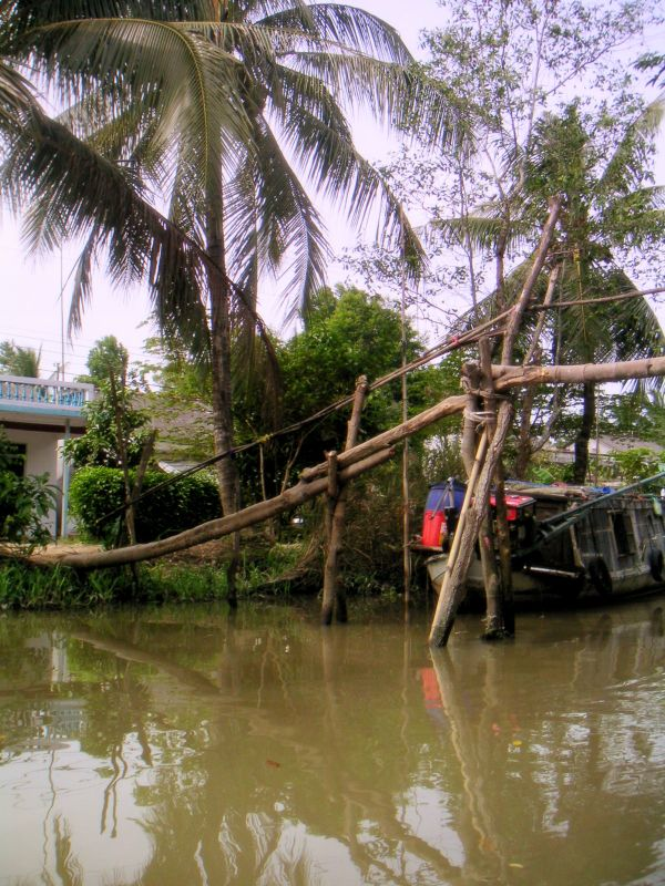 cây cầu nông thôn miền Tây