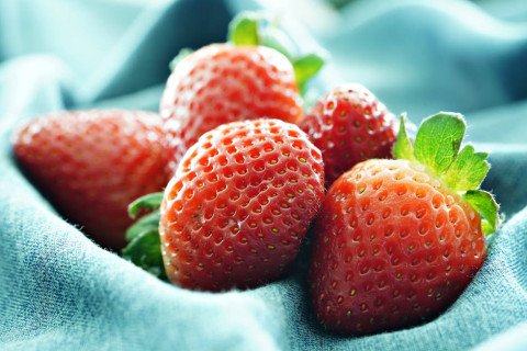 chất xơ thực phẩm