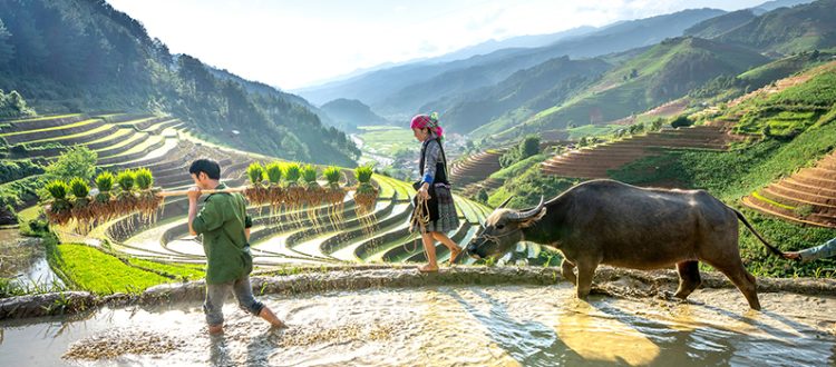 cộng đồng du lịch có trách nhiệm cộng đồng du lịch có trách nhiệm