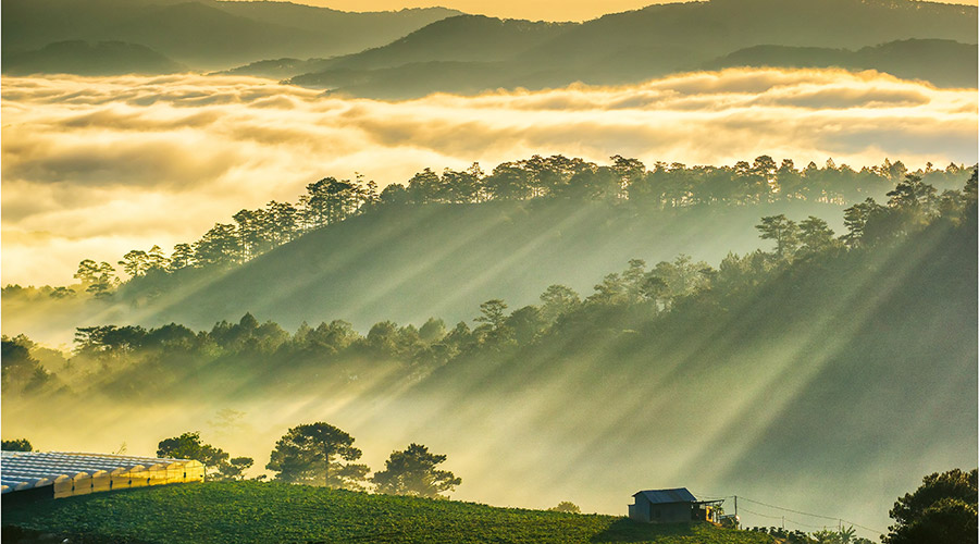 Đà Lạt thành phố sương mù Đà Lạt thành phố sương mù