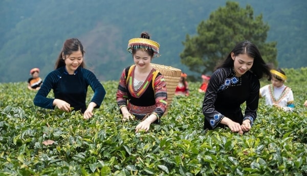 Du lịch bền vững Việt Nam