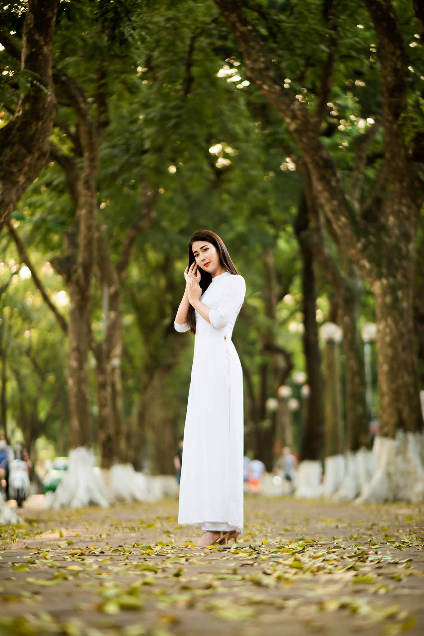 đường Phan Đình Phùng lá vàng rơi Hà Nội