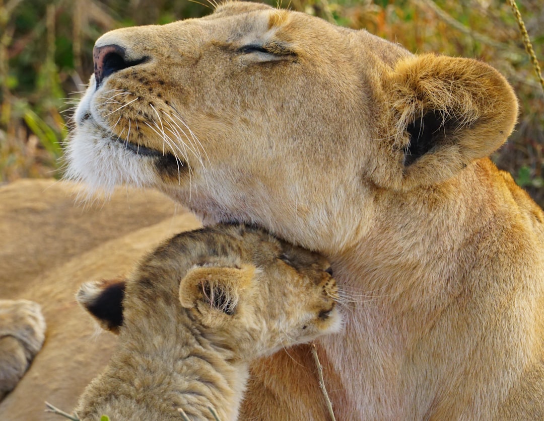 gia đình ôm nhau ấm áp