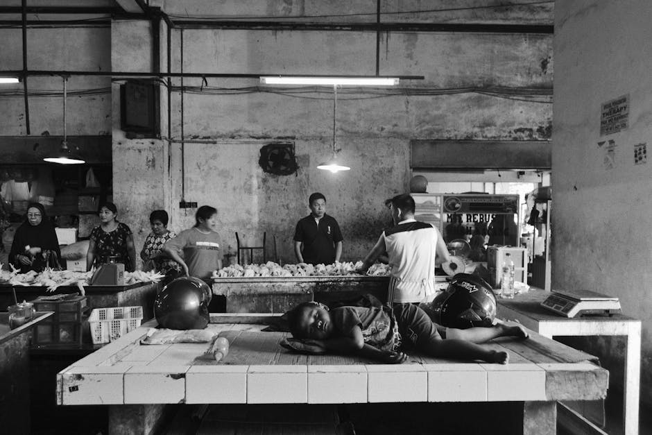 hải sản cho trẻ hải sản cho trẻ