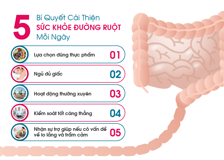 Hệ tiêu hóa khỏe mạnh