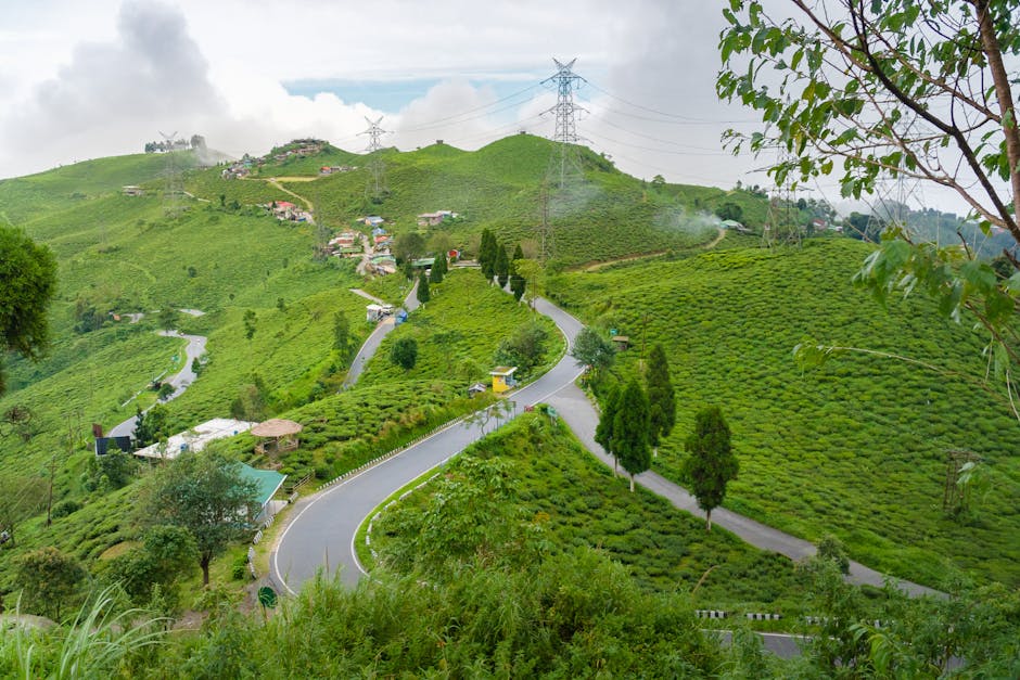 lam dep ben vung lam dep ben vung