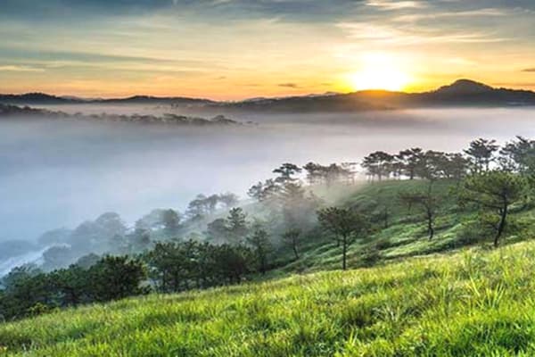 Lâm Đồng cao nguyên xanh