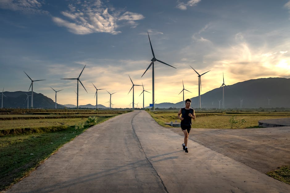 người chạy bộ bình minh người chạy bộ bình minh