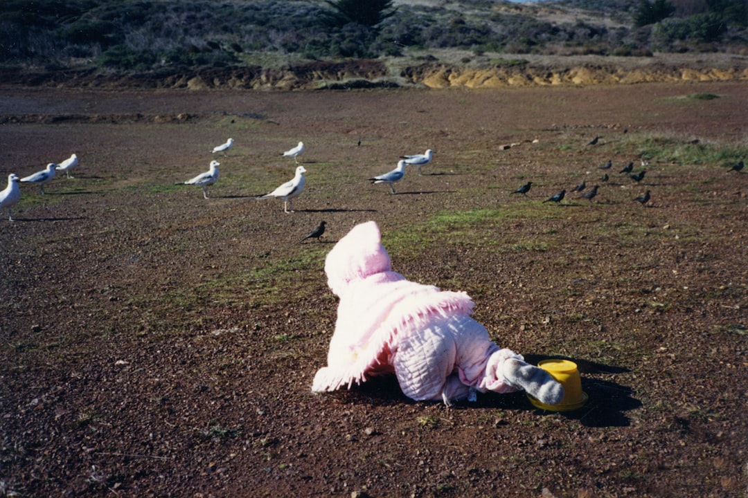 người tò mò khám phá người tò mò khám phá