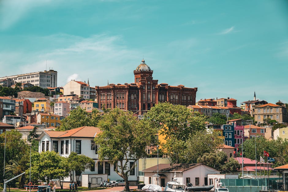 pha nước cắm hoa tại nhà pha nước cắm hoa tại nhà