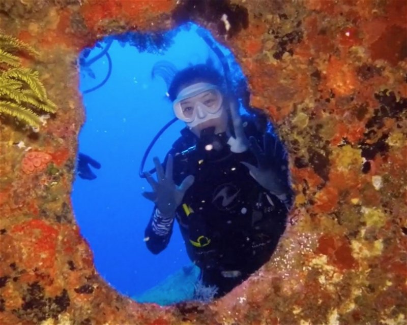 san hô Similan san hô Similan