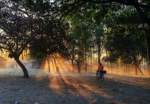 tập thể dục buổi sáng