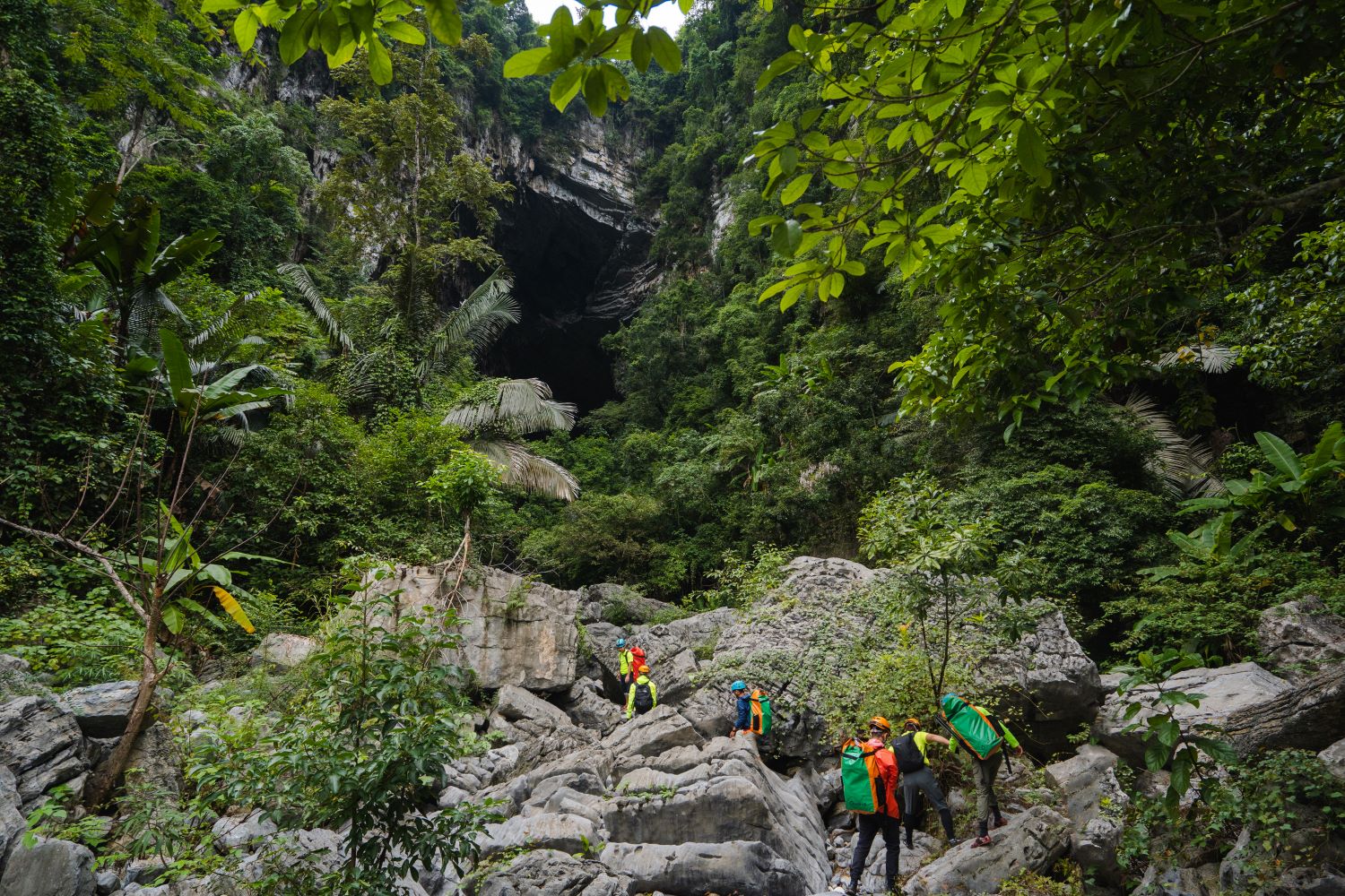 trekking rừng núi