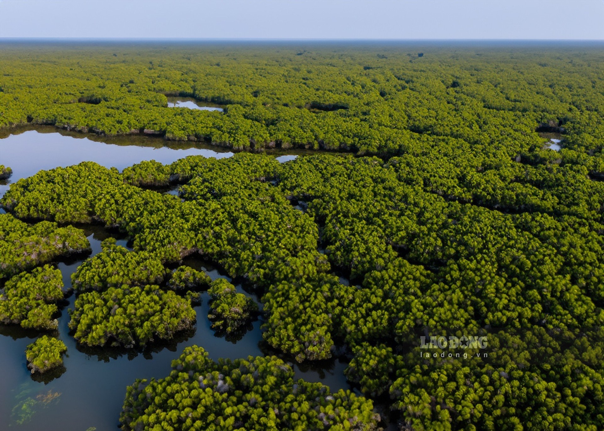 Vườn quốc gia Việt Nam