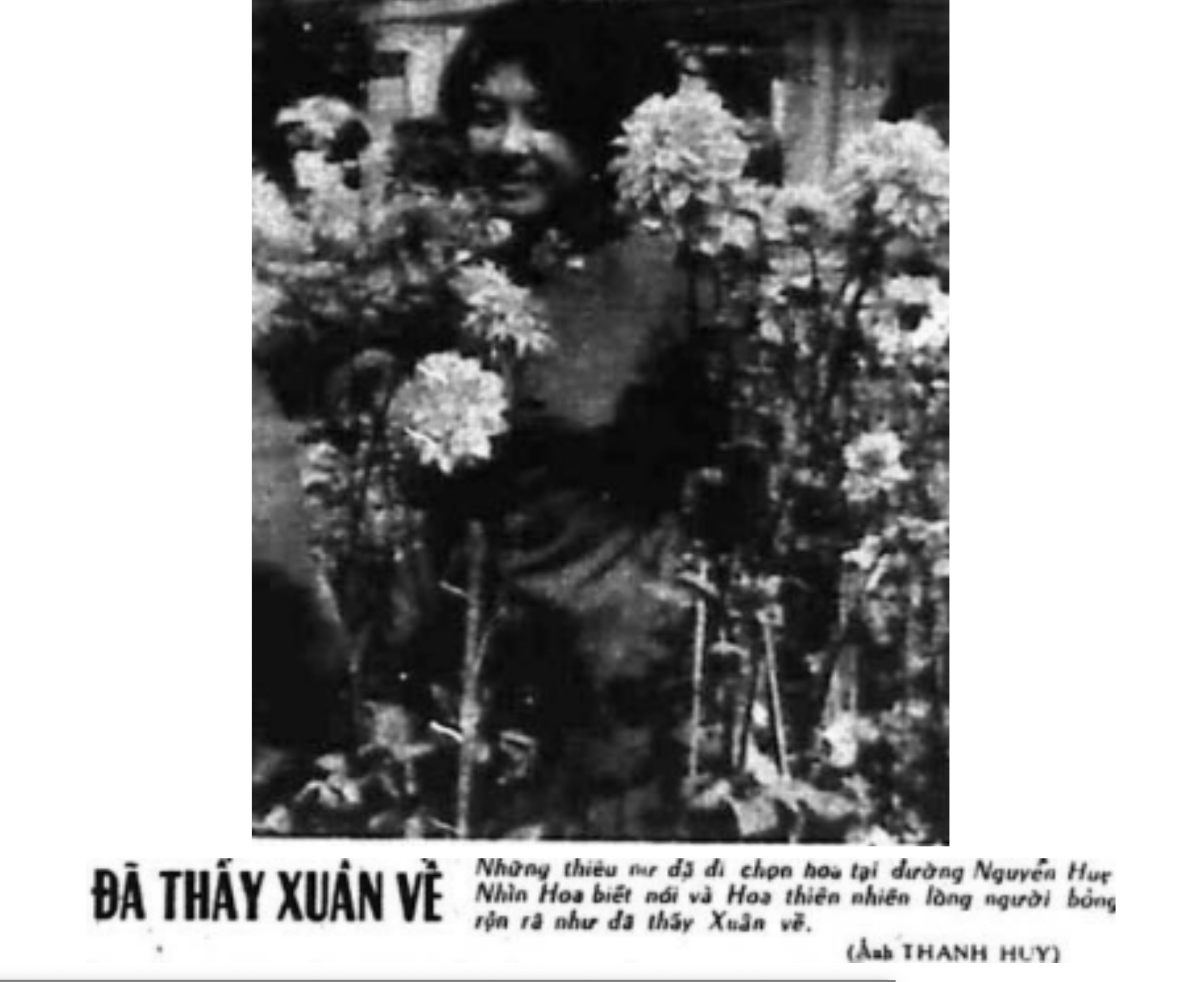 Một con đường làng vắng vẻ với cây xanh hai bên ở vùng nông thôn Việt Nam