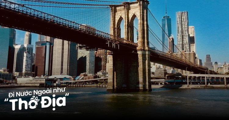 Người đang đọc thông tin du lịch trên điện thoại tại quán cà phê Người đang đọc thông tin du lịch trên điện thoại tại quán cà phê